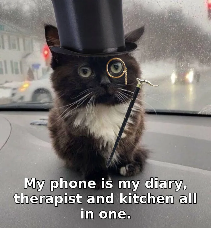 My phone is my diary, therapist and kitchen all in one.