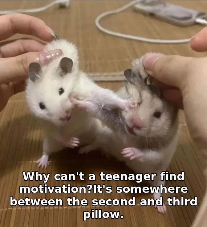 Why can't a teenager find motivation?It's somewhere between the second and third pillow.