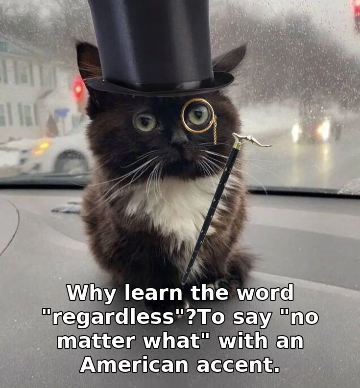 Why learn the word "regardless"?To say "no matter what" with an American accent.