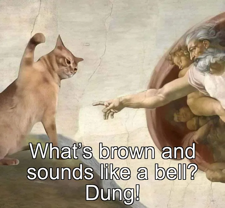 What’s brown and sounds like a bell? Dung!