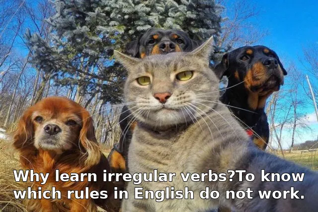 Why learn irregular verbs?To know which rules in English do not work.