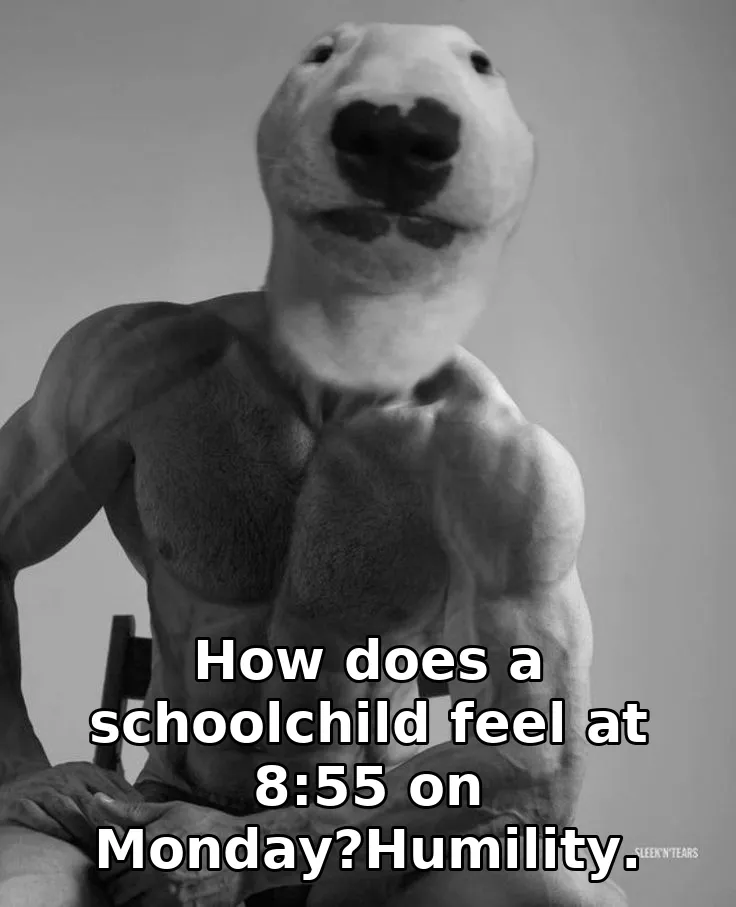 How does a schoolchild feel at 8:55 on Monday?Humility.
