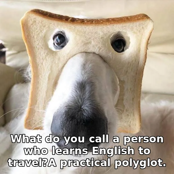 What do you call a person who learns English to travel?A practical polyglot.