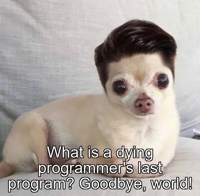 What is a dying programmer's last program? Goodbye, world!
