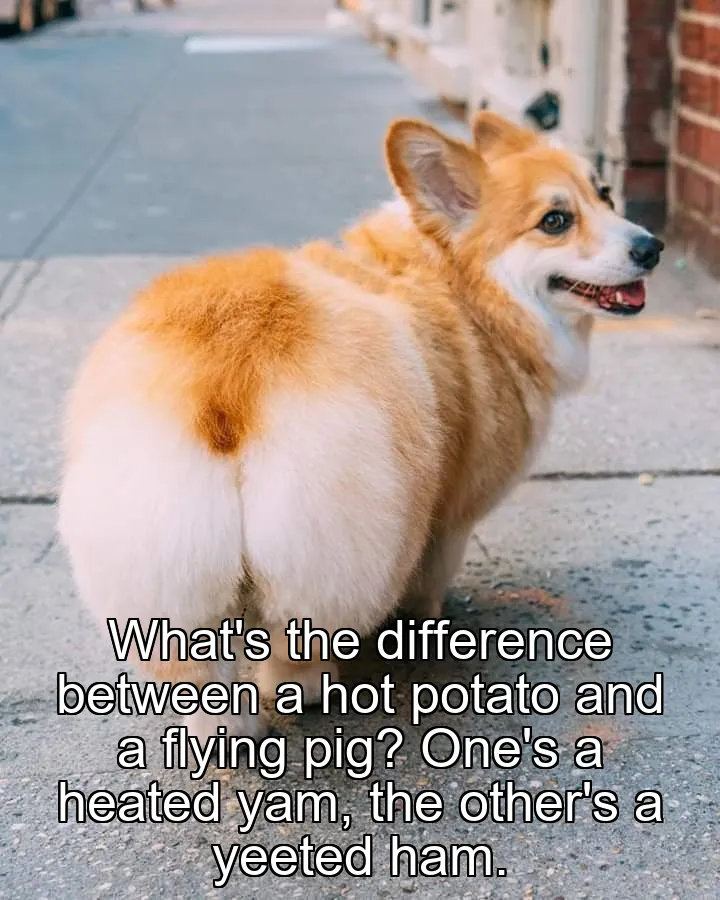 What's the difference between a hot potato and a flying pig? One's a heated yam, the other's a yeeted ham.