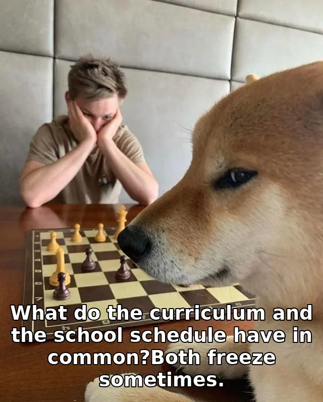 What do the curriculum and the school schedule have in common?Both freeze sometimes.