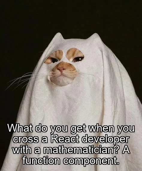 What do you get when you cross a React developer with a mathematician? A function component.