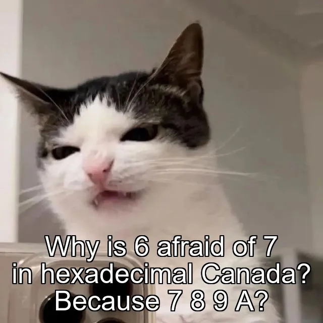 Why is 6 afraid of 7 in hexadecimal Canada? Because 7 8 9 A?