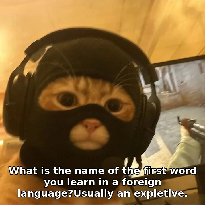 What is the name of the first word you learn in a foreign language?Usually an expletive.