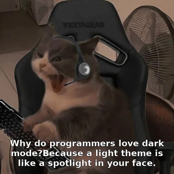 Why do programmers love dark mode?Because a light theme is like a spotlight in your face.