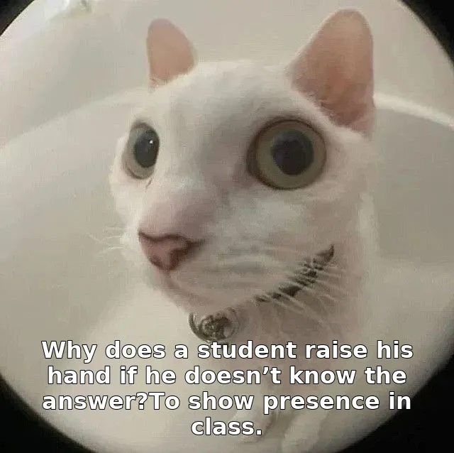 Why does a student raise his hand if he doesn’t know the answer?To show presence in class.