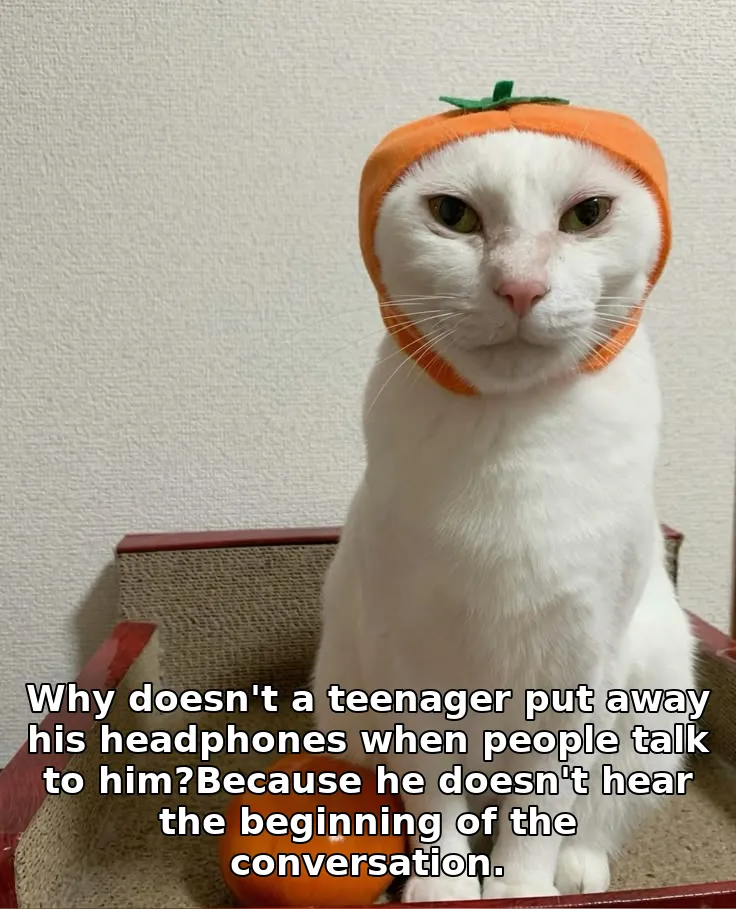 Why doesn't a teenager put away his headphones when people talk to him?Because he doesn't hear the beginning of the conversation.