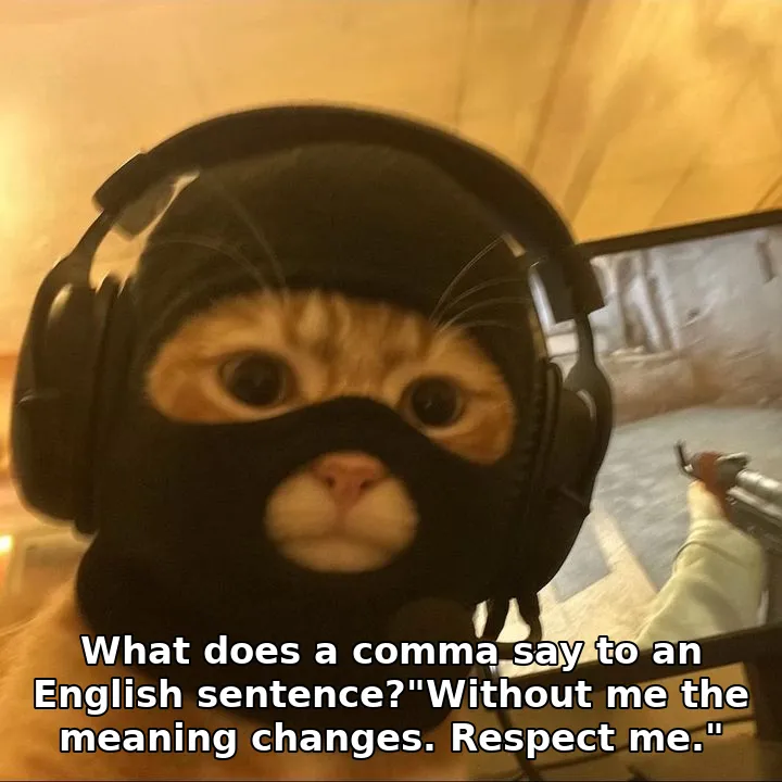 What does a comma say to an English sentence?"Without me the meaning changes. Respect me."