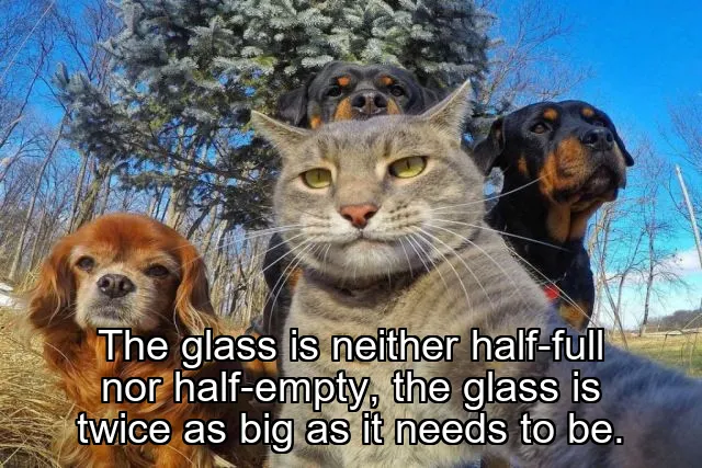 The glass is neither half-full nor half-empty, the glass is twice as big as it needs to be.