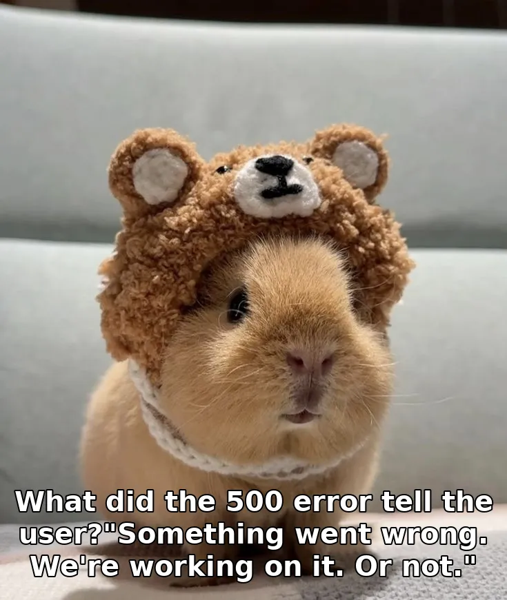 What did the 500 error tell the user?"Something went wrong. We're working on it. Or not."