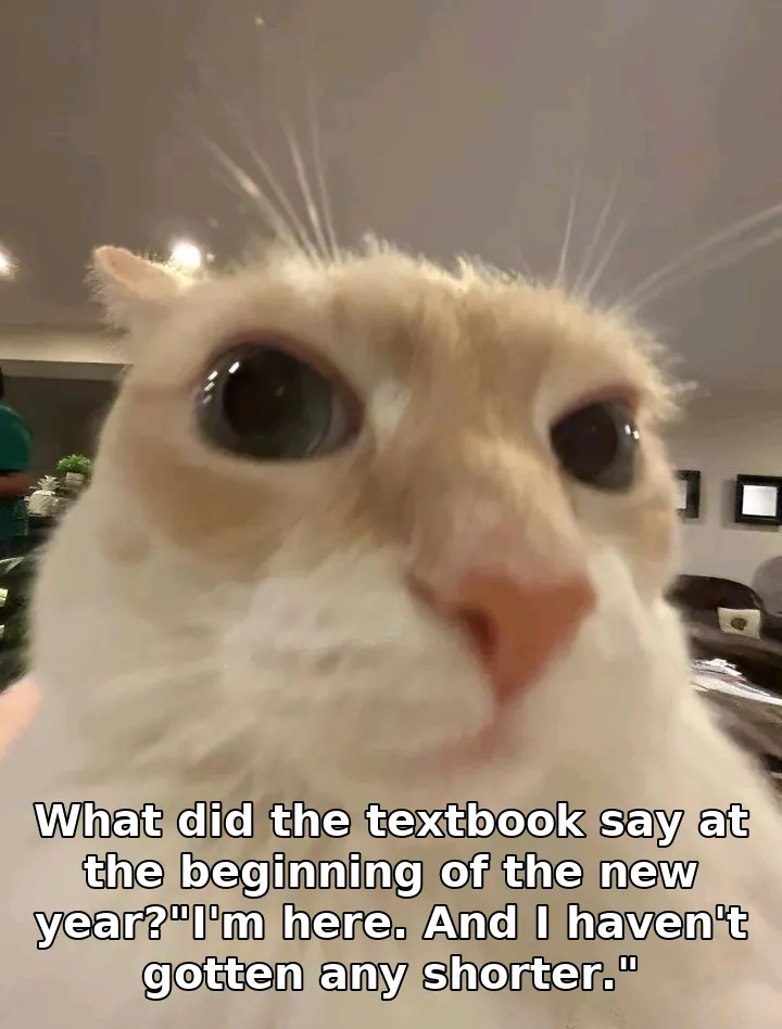 What did the textbook say at the beginning of the new year?"I'm here. And I haven't gotten any shorter."