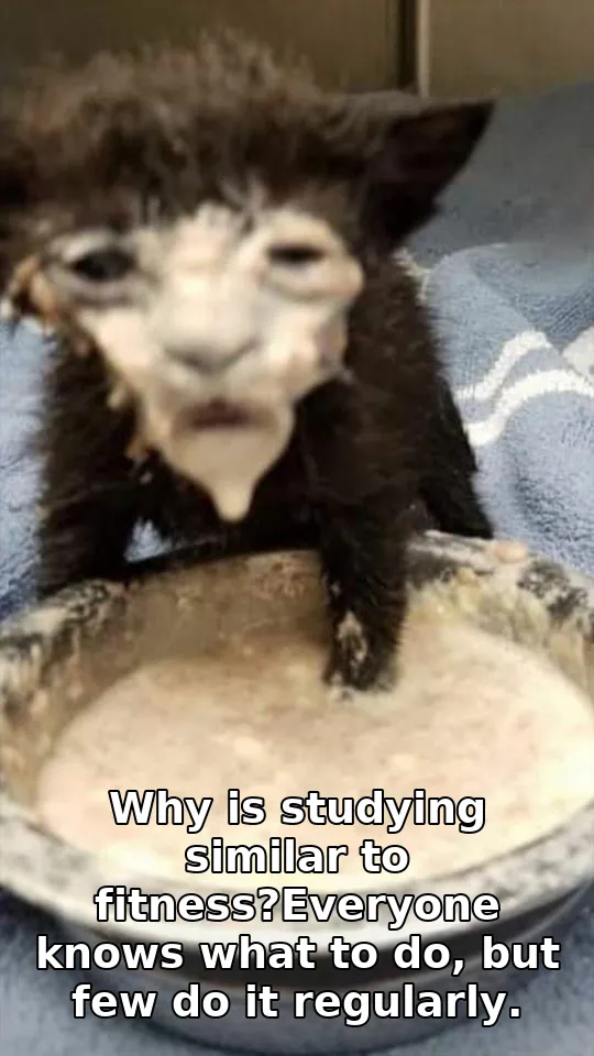Why is studying similar to fitness?Everyone knows what to do, but few do it regularly.
