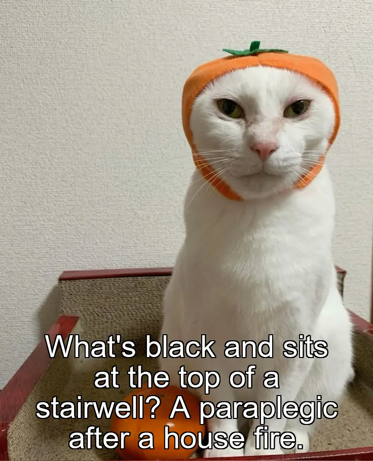 What's black and sits at the top of a stairwell? A paraplegic after a house fire.