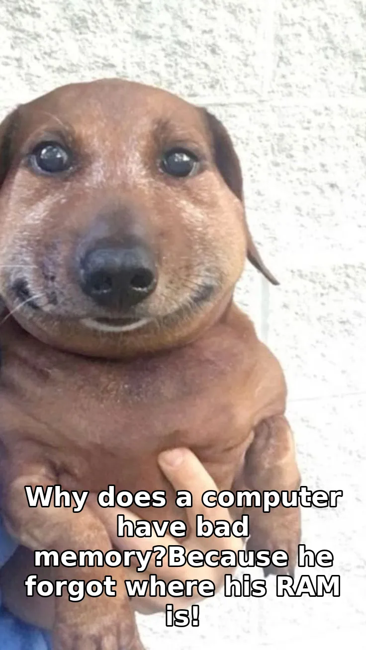 Why does a computer have bad memory?Because he forgot where his RAM is!