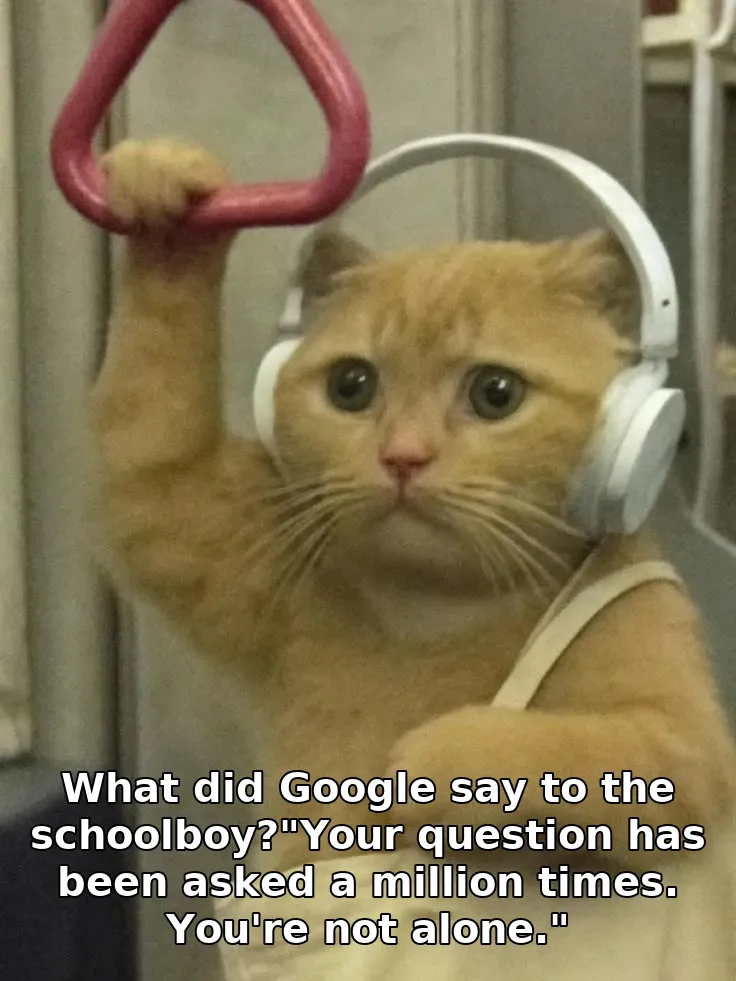 What did Google say to the schoolboy?"Your question has been asked a million times. You're not alone."
