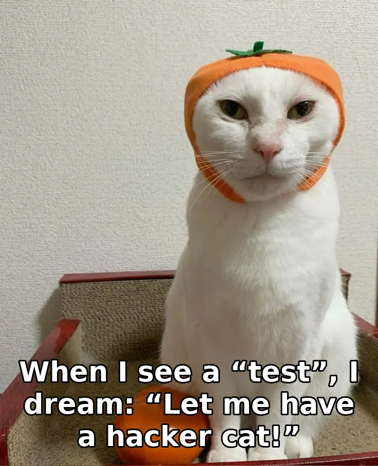 When I see a “test”, I dream: “Let me have a hacker cat!”