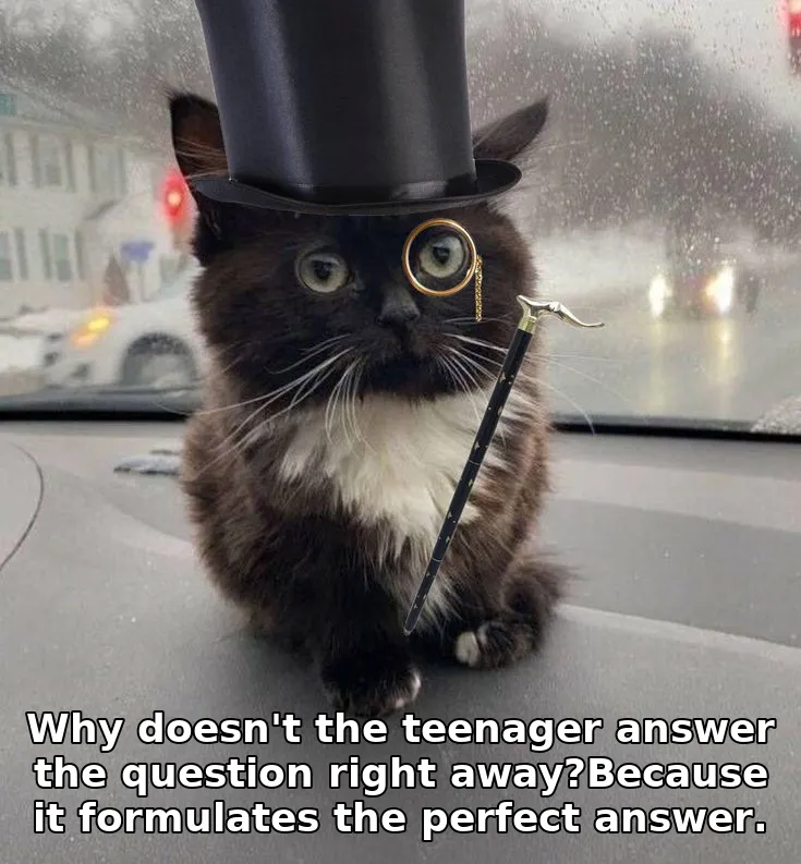 Why doesn't the teenager answer the question right away?Because it formulates the perfect answer.