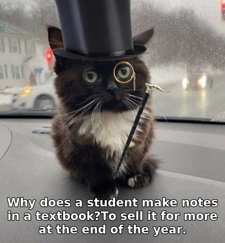 Why does a student make notes in a textbook?To sell it for more at the end of the year.