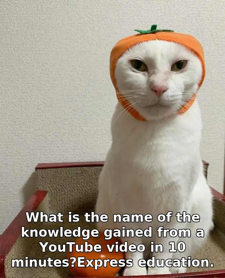 What is the name of the knowledge gained from a YouTube video in 10 minutes?Express education.
