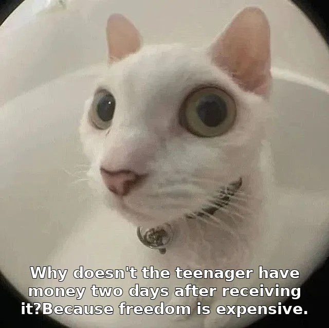 Why doesn't the teenager have money two days after receiving it?Because freedom is expensive.