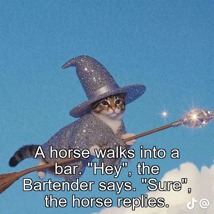 A horse walks into a bar.
"Hey", the Bartender says.
"Sure", the horse replies.
