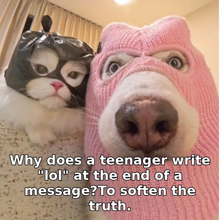 Why does a teenager write "lol" at the end of a message?To soften the truth.