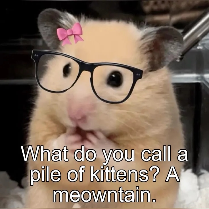 What do you call a pile of kittens? A meowntain.