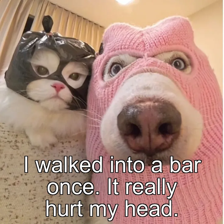 I walked into a bar once. It really hurt my head.
