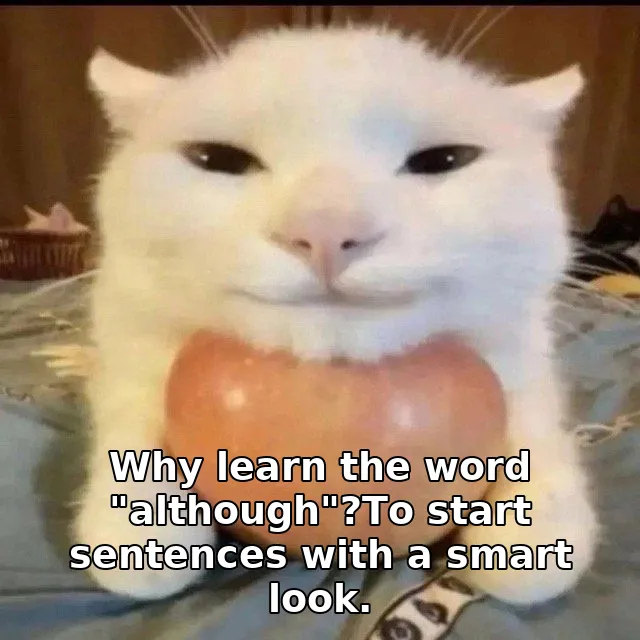 Why learn the word "although"?To start sentences with a smart look.