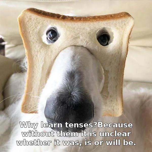 Why learn tenses?Because without them it is unclear whether it was, is or will be.
