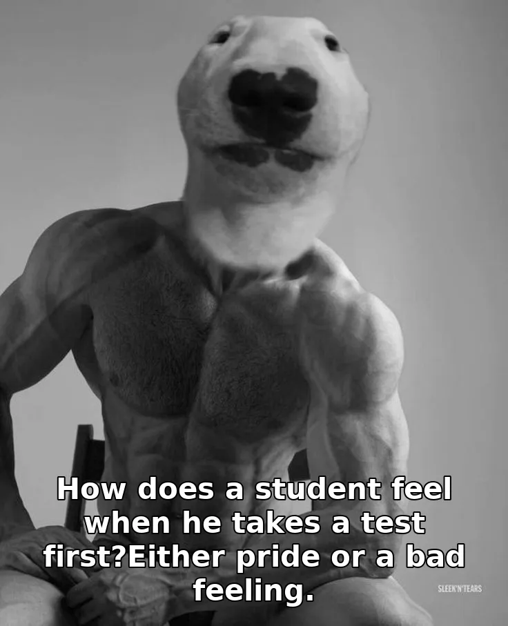How does a student feel when he takes a test first?Either pride or a bad feeling.