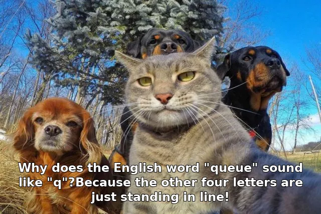 Why does the English word "queue" sound like "q"?Because the other four letters are just standing in line!