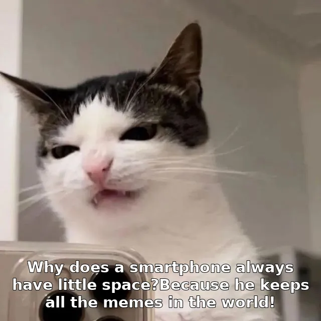 Why does a smartphone always have little space?Because he keeps all the memes in the world!