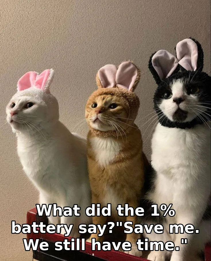 What did the 1% battery say?"Save me. We still have time."