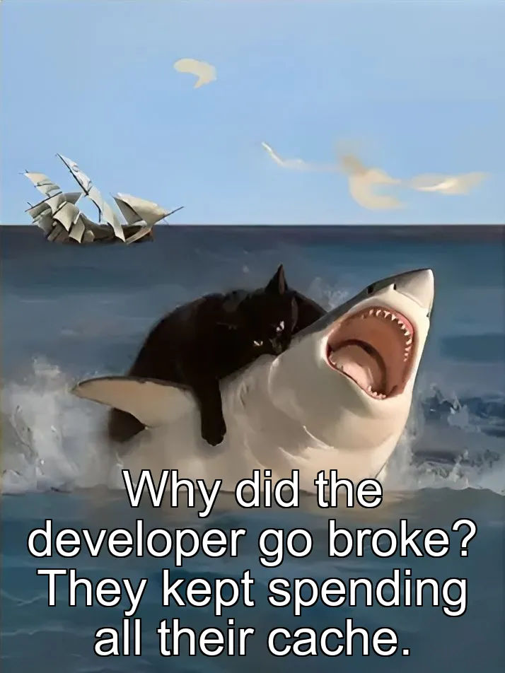 Why did the developer go broke? They kept spending all their cache.