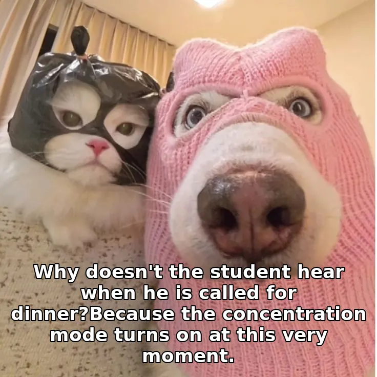 Why doesn't the student hear when he is called for dinner?Because the concentration mode turns on at this very moment.