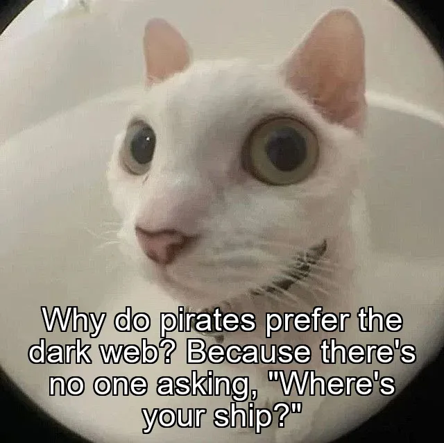 Why do pirates prefer the dark web? Because there's no one asking, "Where's your ship?"
