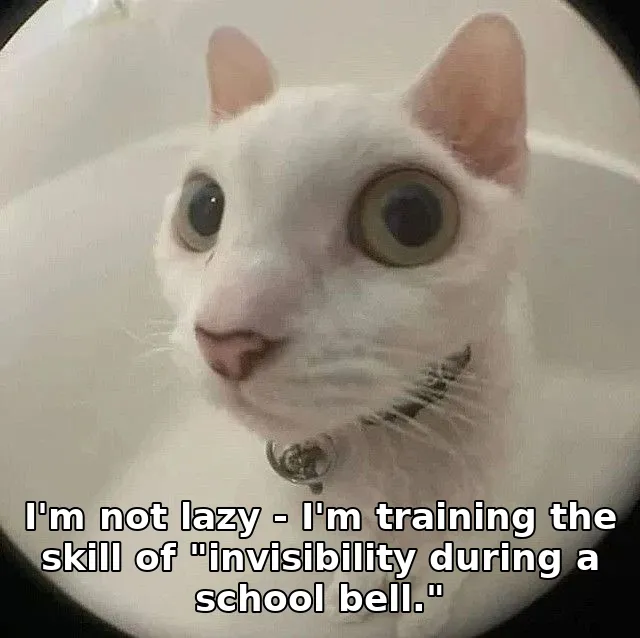 I'm not lazy - I'm training the skill of "invisibility during a school bell."