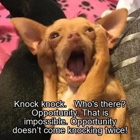 Knock knock. 
 Who's there? 
 Opportunity. That is impossible. Opportunity doesn’t come knocking twice!
