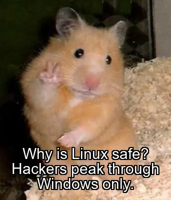 Why is Linux safe? Hackers peak through Windows only.