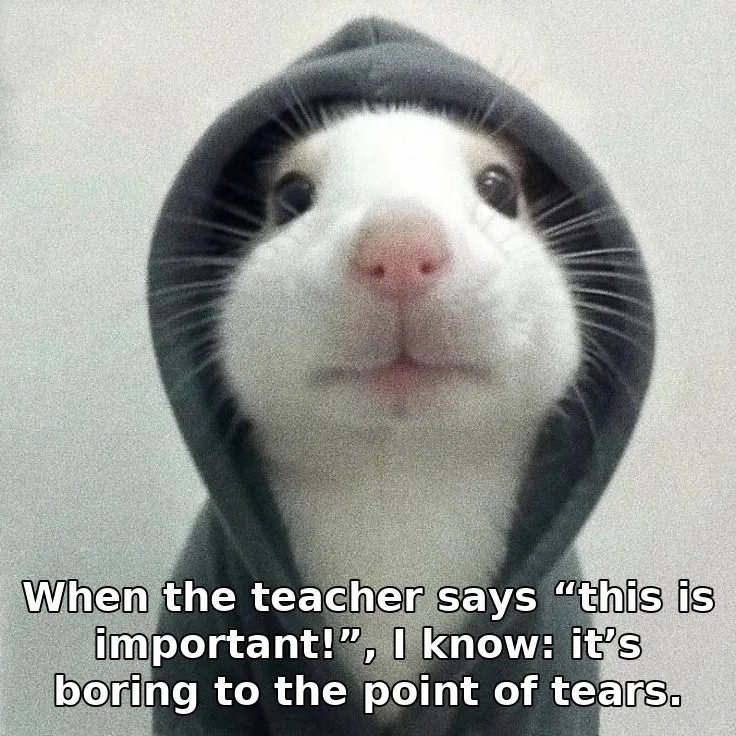 When the teacher says “this is important!”, I know: it’s boring to the point of tears.