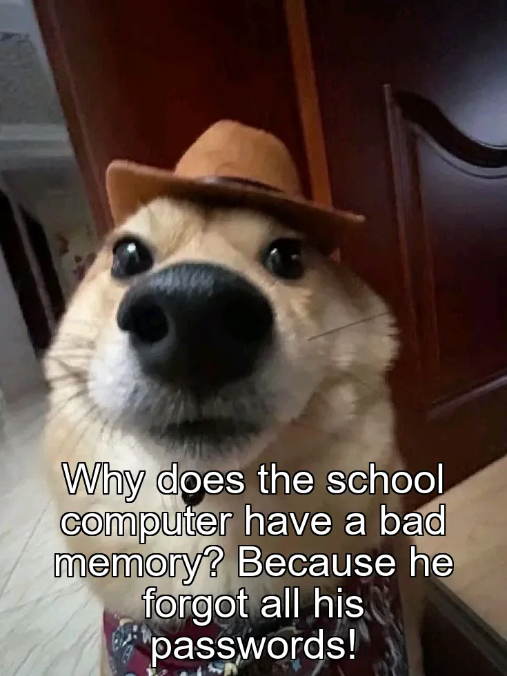 Why does the school computer have a bad memory? Because he forgot all his passwords!