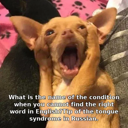 What is the name of the condition when you cannot find the right word in English?Tip of the tongue syndrome in Russian.