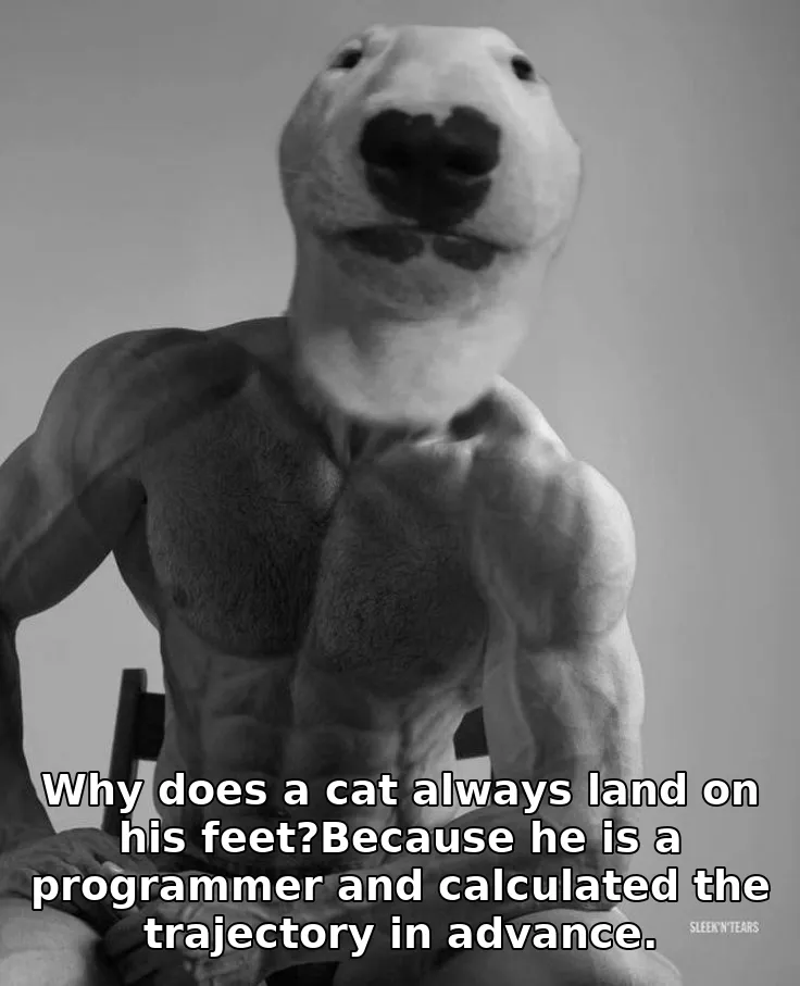 Why does a cat always land on his feet?Because he is a programmer and calculated the trajectory in advance.