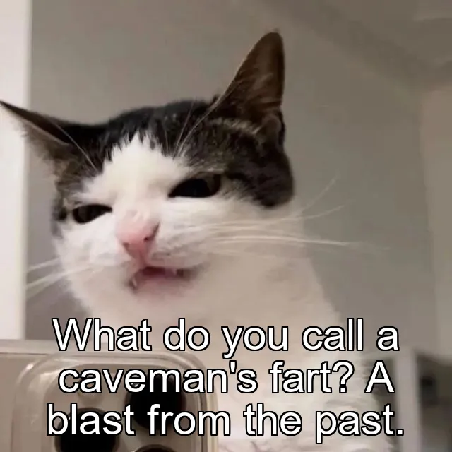 What do you call a caveman's fart? A blast from the past.
